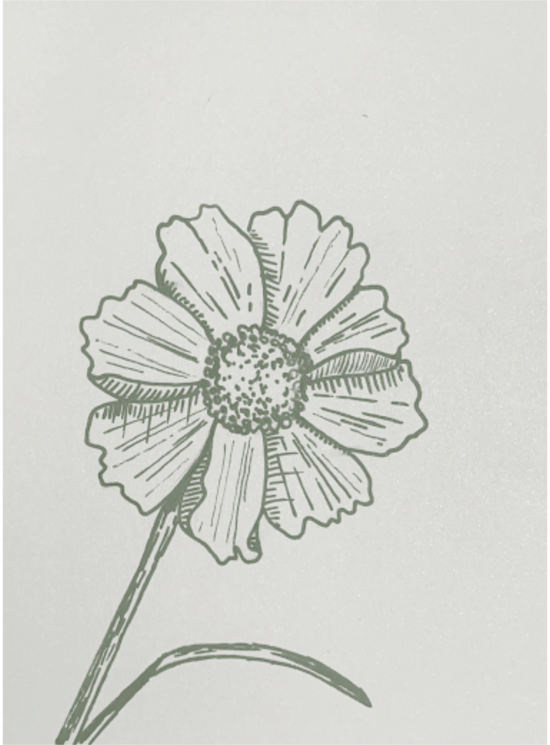 illustration of a flower